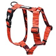 Baylabel Eye of the Tiger szelki Guard dla psa S