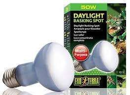 Żarówka Daylight Basking Spot R30/150W