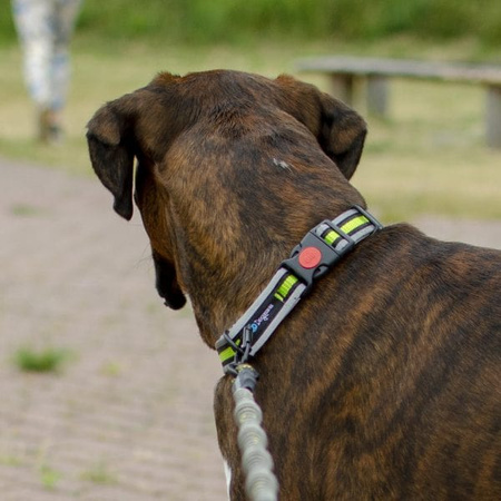 Dogcessories obroża reflective dla psa M