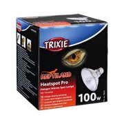 HeatSpot Pro, halogenowa lampa grzewcza, 100W