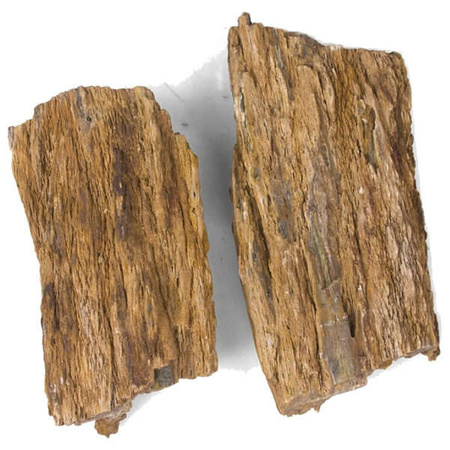 Skałka Pień Myanmar, M 20-30CM