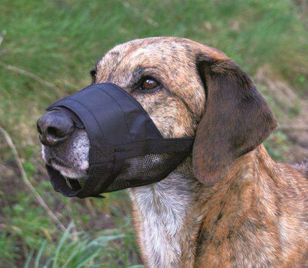 Kaganiec z siatką, dla psa, poliester, czarny, L-XL, dł. pyska 24-34 cm, szer. paska 6,4 cm