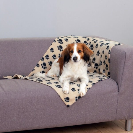 KOC DLA PSA "BARNEY" 100x70 cm BEŻ W CZARNE ŁAPKI