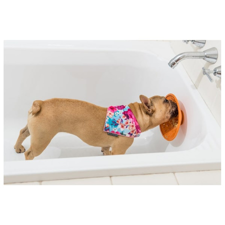 LickiMat Splash mata z przyssawką dla psa, kota 5x19 cm