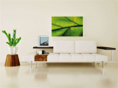 Akwarium szklane Fluval SPEC III z LED, 10L, 27.5 cm x 30 cm x 22.3 cm, białe