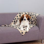 KOC DLA PSA "BARNEY" 100x70 cm BEŻ W CZARNE ŁAPKI