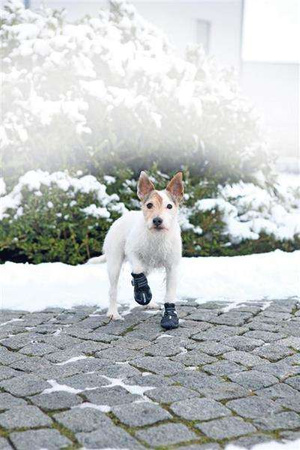 BUTY OCHRONNE Walker Active, XL, 2 szt.