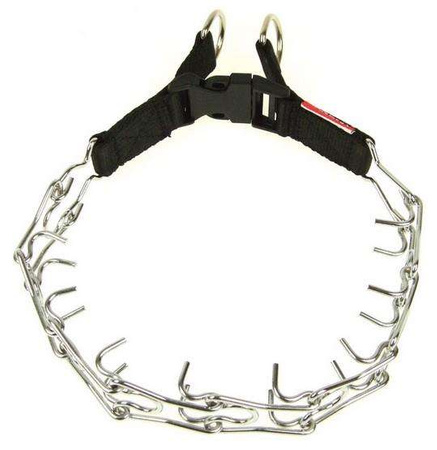 Champion kolczatka [2t]