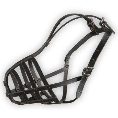 Dino kaganiec skórzany nitowany 24 stafford duży