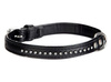 Dingo Obroża Glamour 1,4x35cm czarna