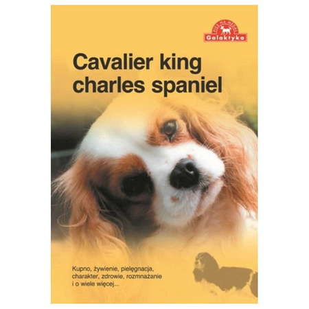 Cavalier king charles spaniel