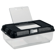 Faunarium, 38 × 14 × 24 cm