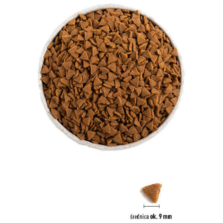 Acana Indoor Entrée dla kota 1,8 kg