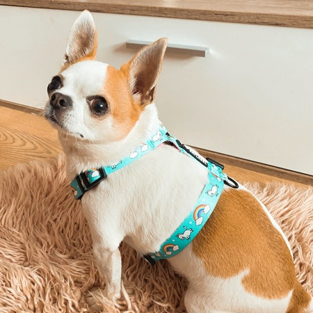 Baylabel Uni World szelki Guard dla psa M