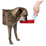 BUTELKA Z MISKĄ 250ml  PLASTIKOWA