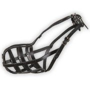 Dino kaganiec skórzany nitowany 4 pudel