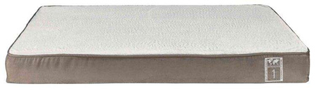 Poduszka Vital Best of all Breeds, 100 × 70 cm, jasno szary