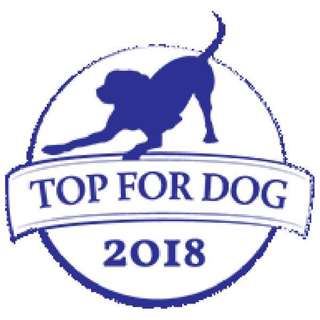 Dr lucy szampon dla psów szorstkowłosych 250 ml