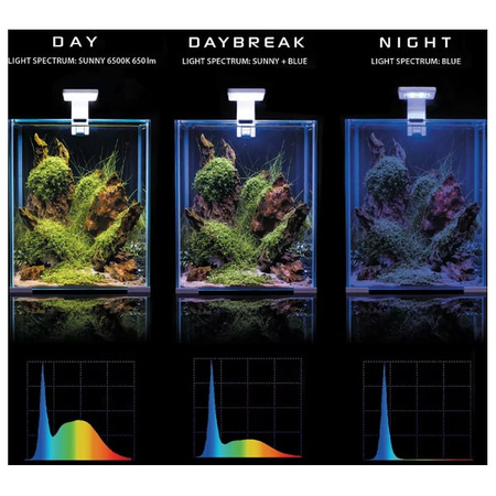 Shrimp Set Day & Night 10l czarny