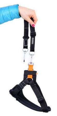 Kardiff pas bezpieczeństwa do samochodu l