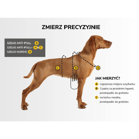 Dogcessories szelki anti-pull dla psa l