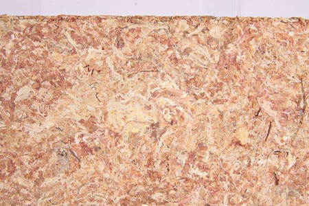 Podłoże: Mech (Hypnum) , 100g