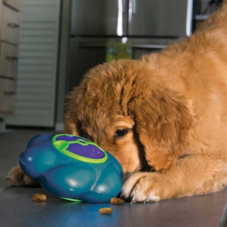 Kong Flipz dla psa L