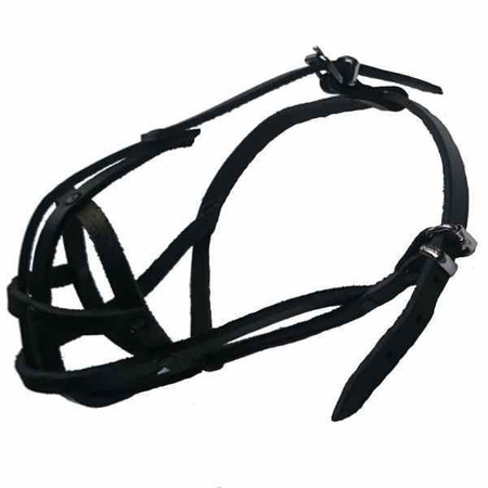 Dino kaganiec skórzany nitowany 5 shih tzu