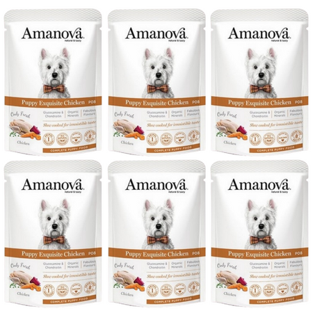 ZESTAW Amanova Puppy Exquisite saszetka dla psa kurczak 6 x 100 g