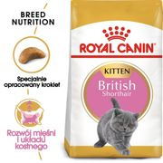 Royal canin british shorthair kitten karma sucha dla kociąt, do 12 miesiąca, rasy brytyjski krótkowłosy 400g