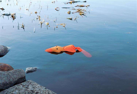 Kaczka pływająca, polyester, 50 cm