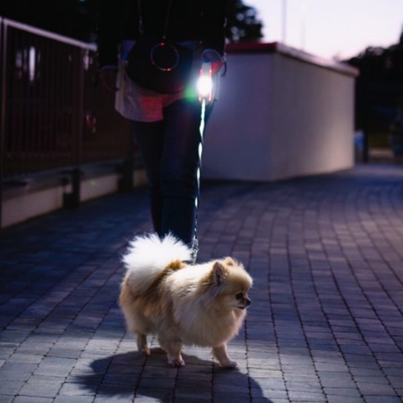 Smycz dla psa, automatyczna, okrągła, biało-szara, taśma, ładowanie USB, 3m