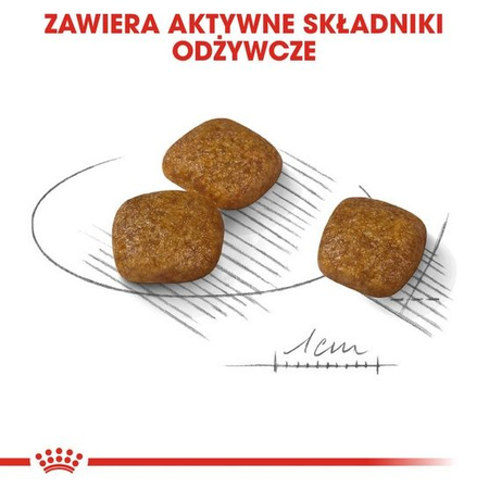 Royal canin mini urinary care karma sucha dla psów dorosłych, ras małych, ochrona dolnych dróg moczowych 3kg