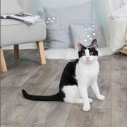 Bańki z kocimiętką, 120 ml