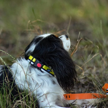 Dogcessories obroża reflective dla psa L 