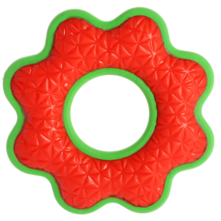 Dingo Zabawka guma TPR kwiatek dla psa 16,6 cm