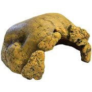 Kryjówka jaskinia dla żółwia