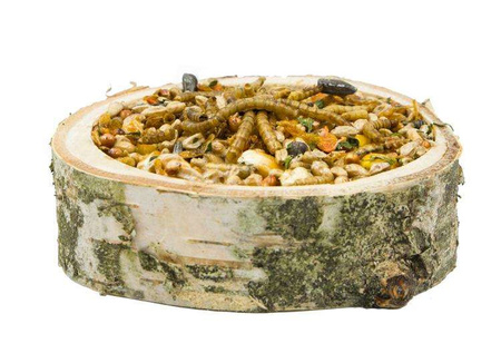 Miseczka proteinowa dla gryzoni, 1 szt.