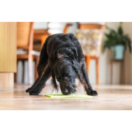 LickiMat Buddy Large mata do lizania dla psa, kota 28x28 cm