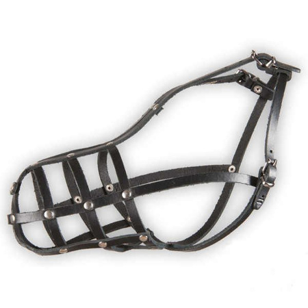 Dino kaganiec skórzany nitowany 11 doberman duży