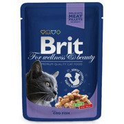 Brit cat for wellness & beauty dorsz 100g