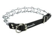 Champion kolczatka [2 rym]