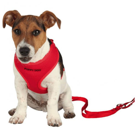 Trixie szelki dla szczeniaka miękkie 26-34 cm/10 mm, 33-47 cm/10 mm, smycz: 2 m