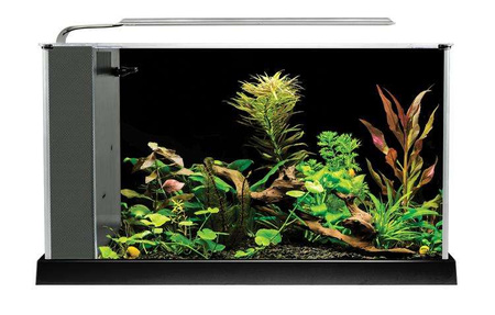 Akwarium szklane Fluval SPEC V z LED, 19L, 52 cm x 29.5 cm x 19 cm, czarne