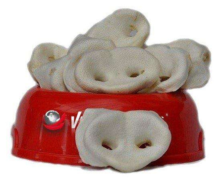 Vector-food noski wieprzowe białe 40szt