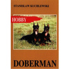 Doberman