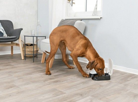 AUTOMAT DO KARMIENIA TX2-KOT I MALY PIES