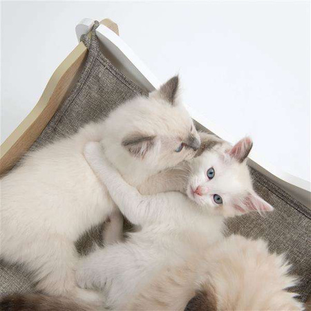 Domek dla kota Catit Vesper Cabana 50x50x53cm,