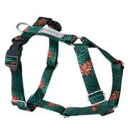 amiplay BeHappy szelki regulowane Guard Jungle L