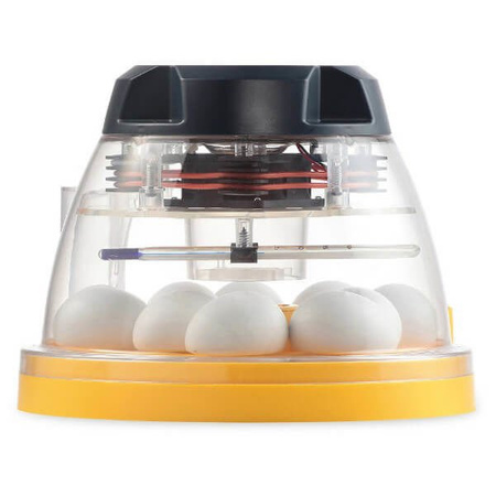 Wylęgarka do jaj gadów/kur Olba brinsea eco 